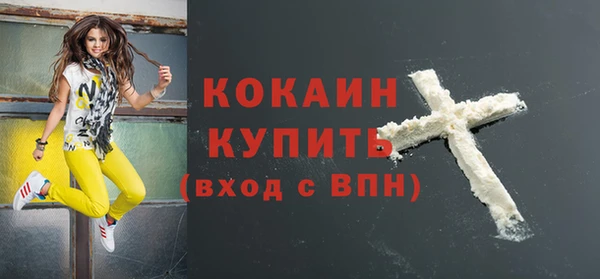 шишки Вяземский