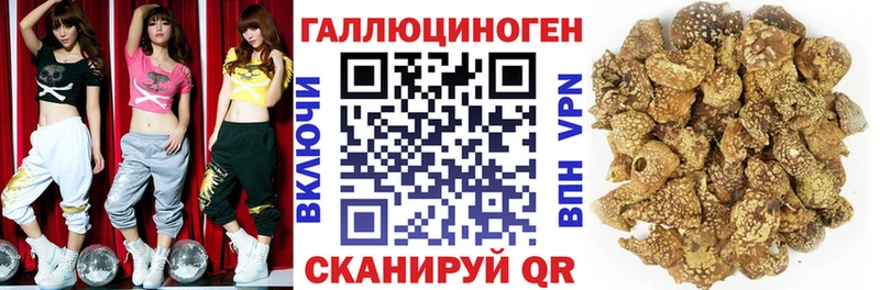 Галлюциногенные грибы Psilocybine cubensis  Вичуга 